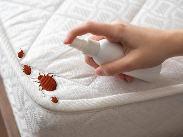Best Affordable Pest Control Services  in Obetz, OH
