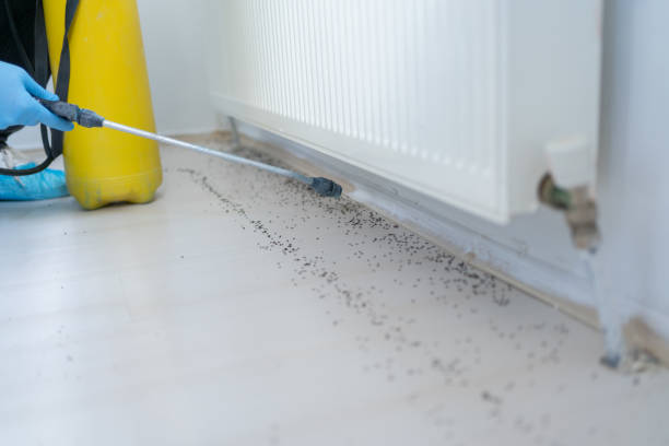 Best Best Pest Control Companies  in Obetz, OH