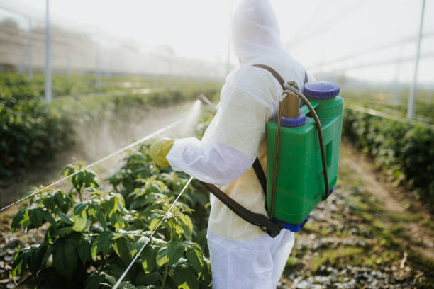 Best Pest Removal Services  in Obetz, OH